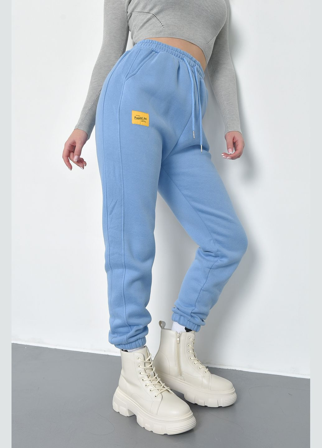 Спортивные штаны женские на флисе голубого цвета Let's Shop (285779384)