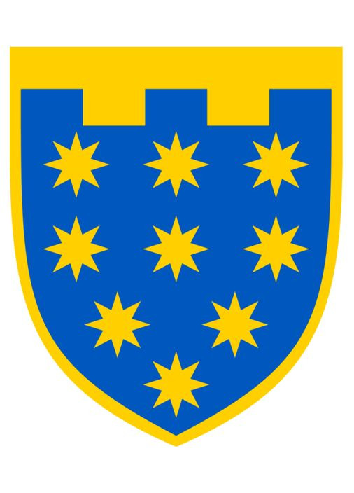 Шеврон ТРО 108 ОБРТРО парадний Нарукавний знак 108 окрема бригада ТРО ЗСУ Дніпропетровська обл. Україна ТД (364194524)