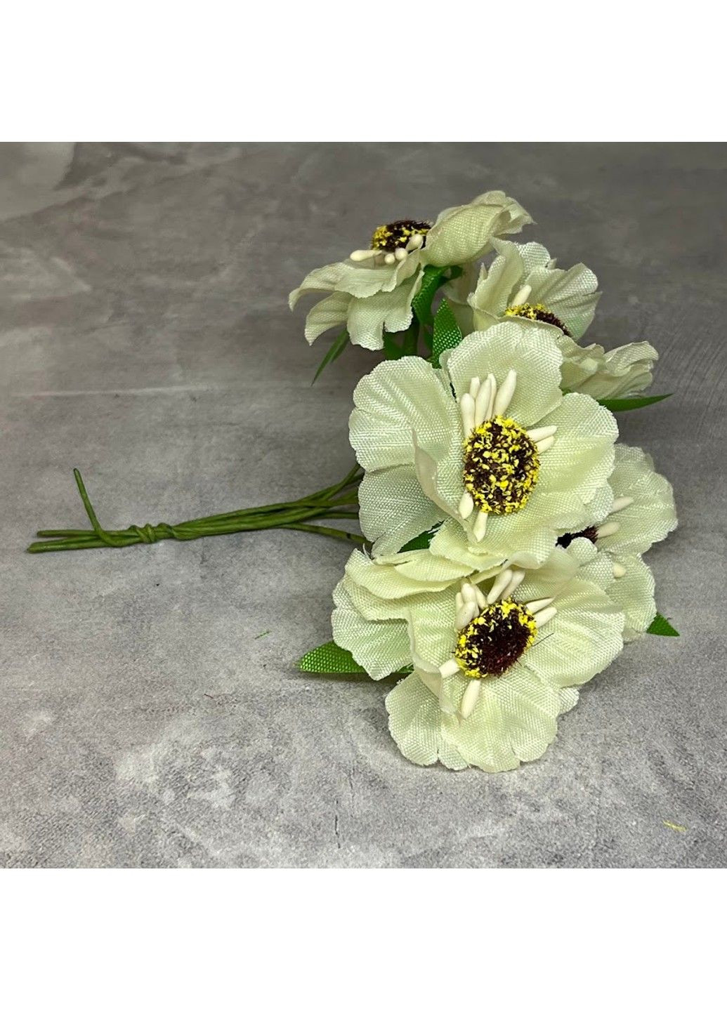 Мак дикий, цвет молочный, арт 018571, 1 букет - 6 шт. No Brand (341307631)