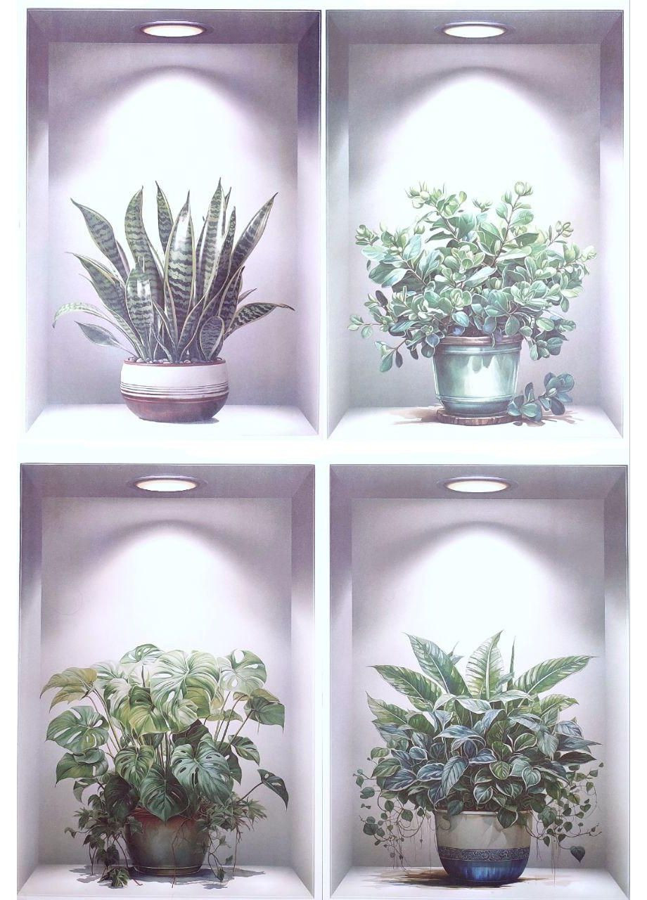 Вінілові наклейки 5 вазонів (лист 60 х 90 см) Б67-8 HPL-AB No Brand (365287987)