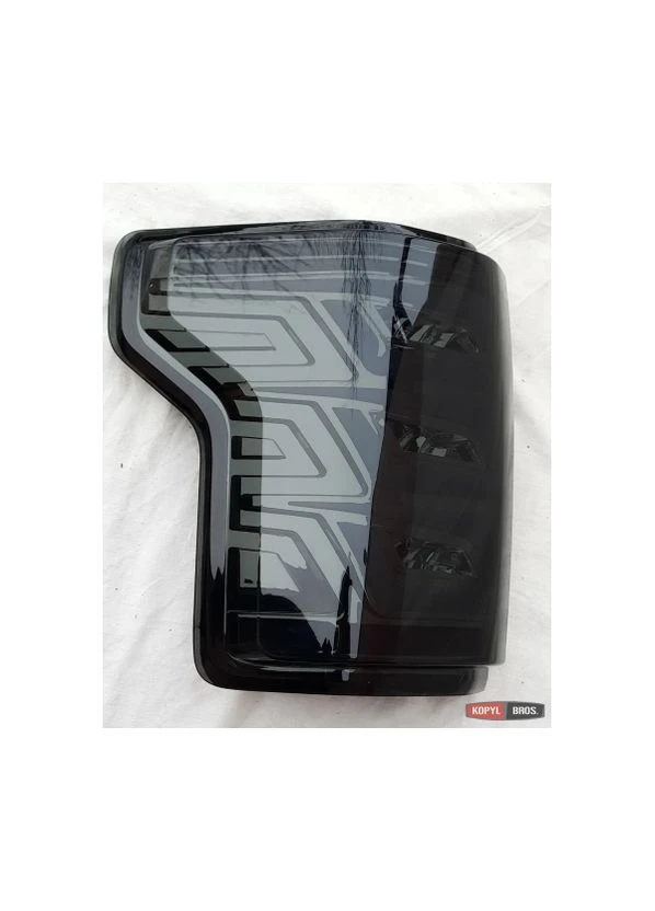 Задние фонари Ford F150 (WY-T-21) No Brand (381822372)
