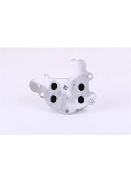 Радіатор масляний Nissens (366736307)