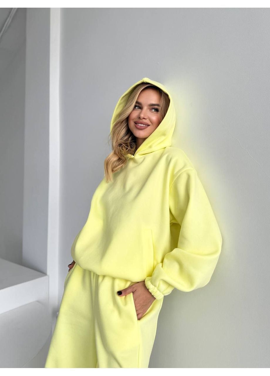 Спортивний зимовий костюм оверсайз LeVi (366883572)