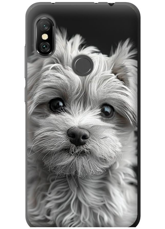 2D пластиковий чохол 'Мальтипу на чорному фоні' для Endorphone Xiaomi Redmi Note 6 Pro (297658334)