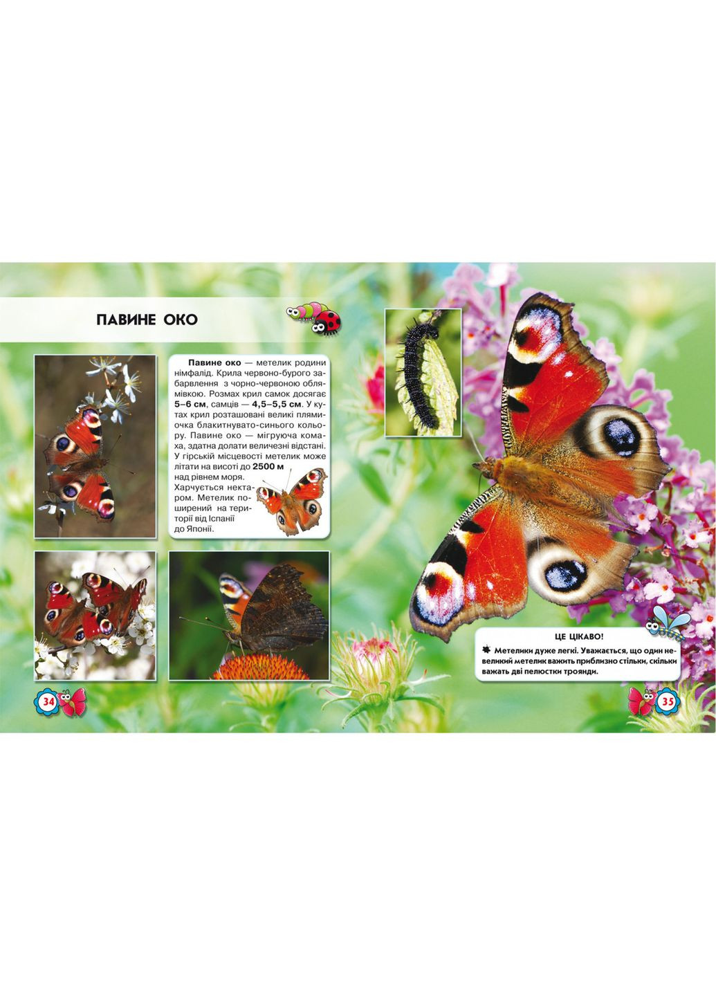 Насекомые. Мир вокруг нас. Афонин Михаил Кристал Бук (349838525)