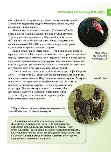 Енциклопедія для допитливих А5: Хижаки (Українська, 01 КРЕЙДОВАНИЙ ) Талант (370076339)