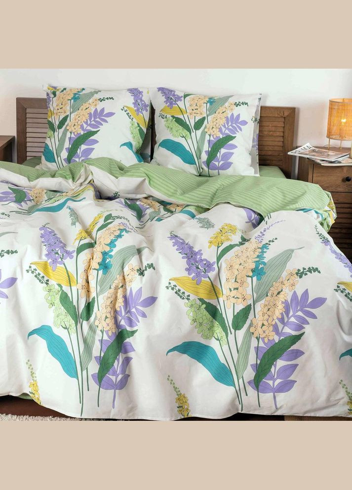 Постельное белье Вилюта ранфорс 23224 семейное Viluta (288044477)