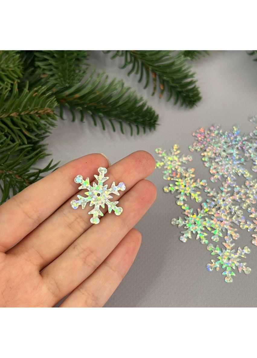 25мм Поетка снежинка 5г - серебро голограмма No Brand (356509814)