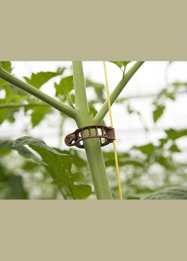 Кліпси для кріплення рослин, Bato (Нідерланди), 100шт No Brand (323159747)