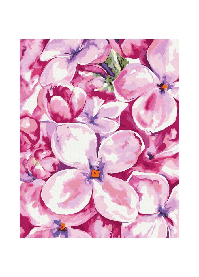 Картина за номерами "Пастельний сад" © Karolina Bundash Brushme BS53940 40x50 см No Brand (330604974)