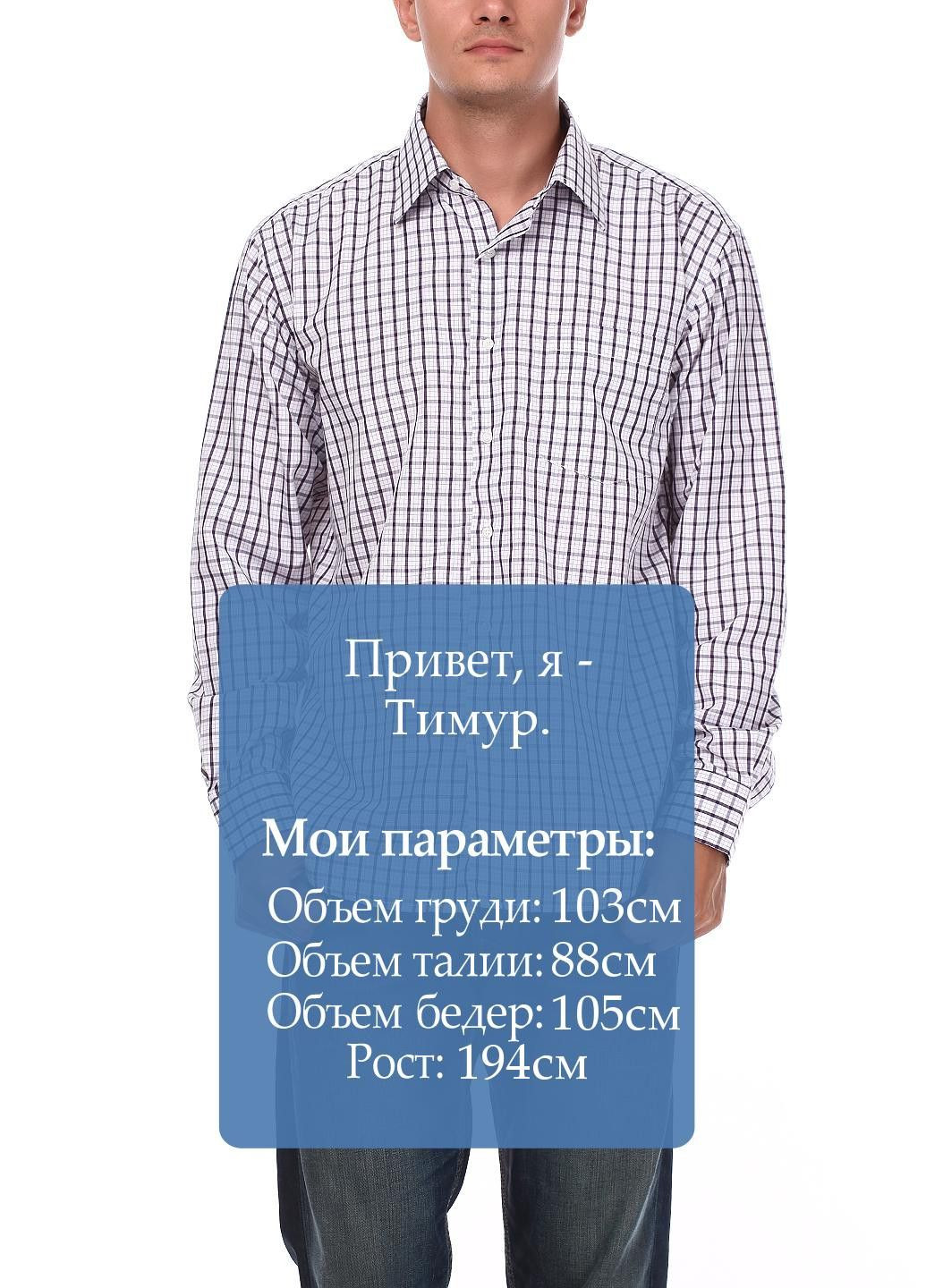 Фиолетовая повседневный рубашка в клетку Aldo & Co