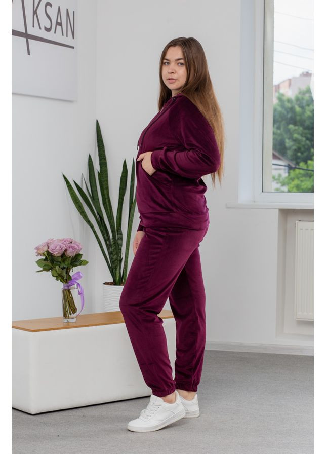 Жіночий спортивний костюм велюр демісезонний худі та штани джогери 23.1860 52( ) AKSAN (338182144)