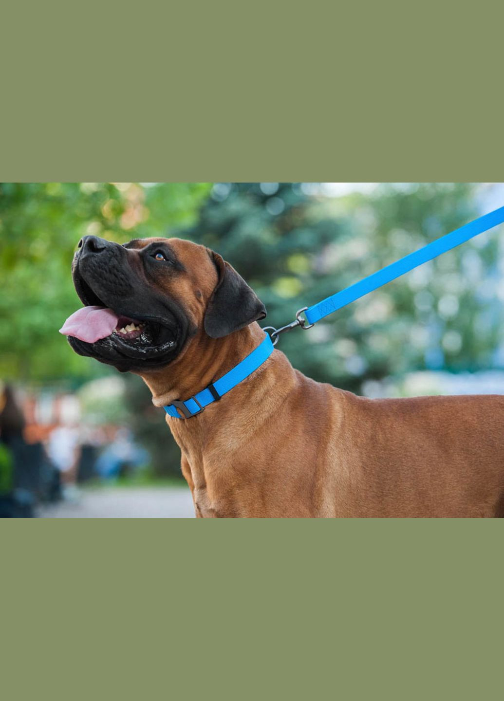 Повідець для собак водостійкий Waterproof Ш 20 мм Д 183 см Блакитний WAUDOG (279567815)