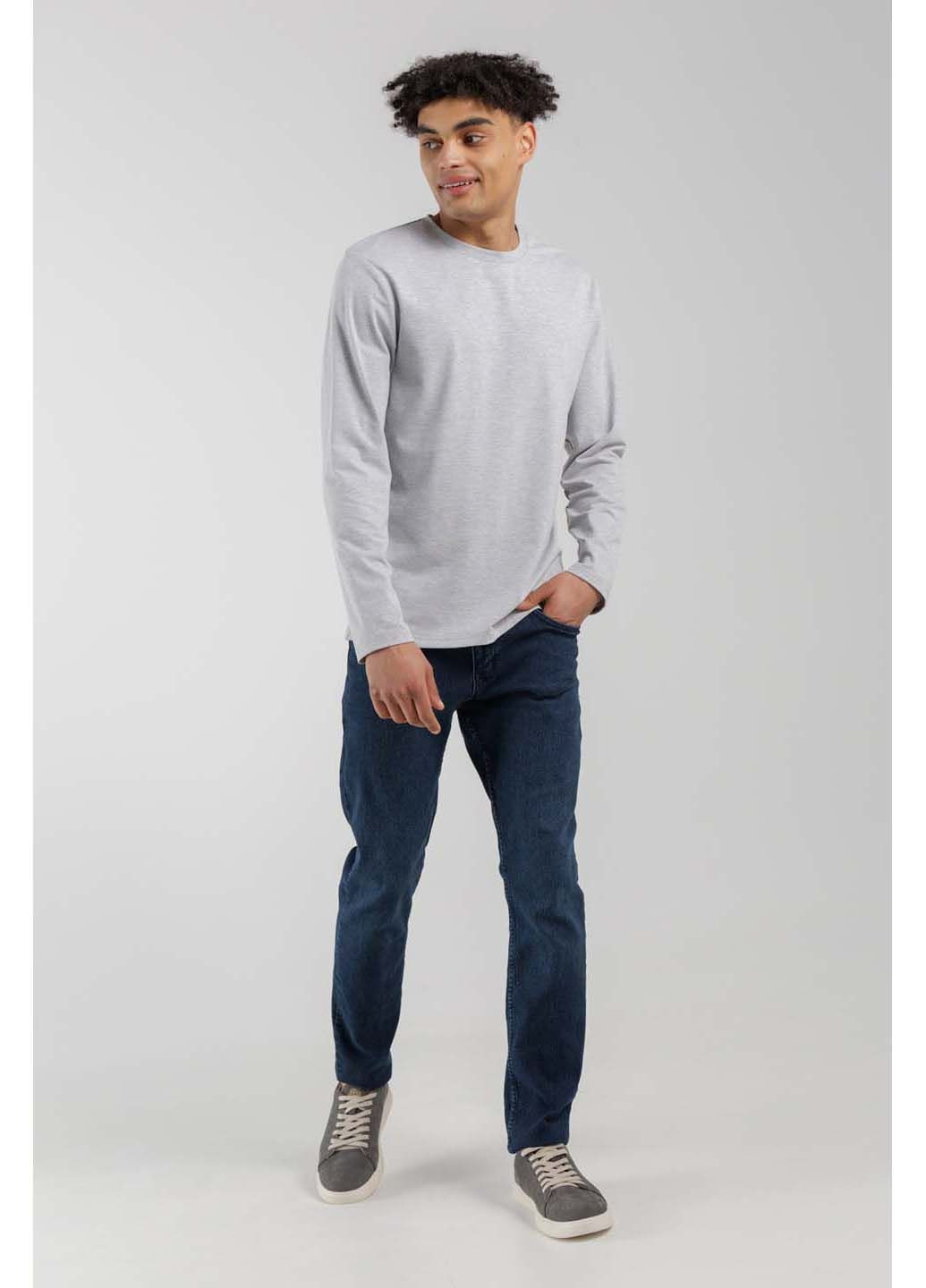 Серые кеды мужские Filkison