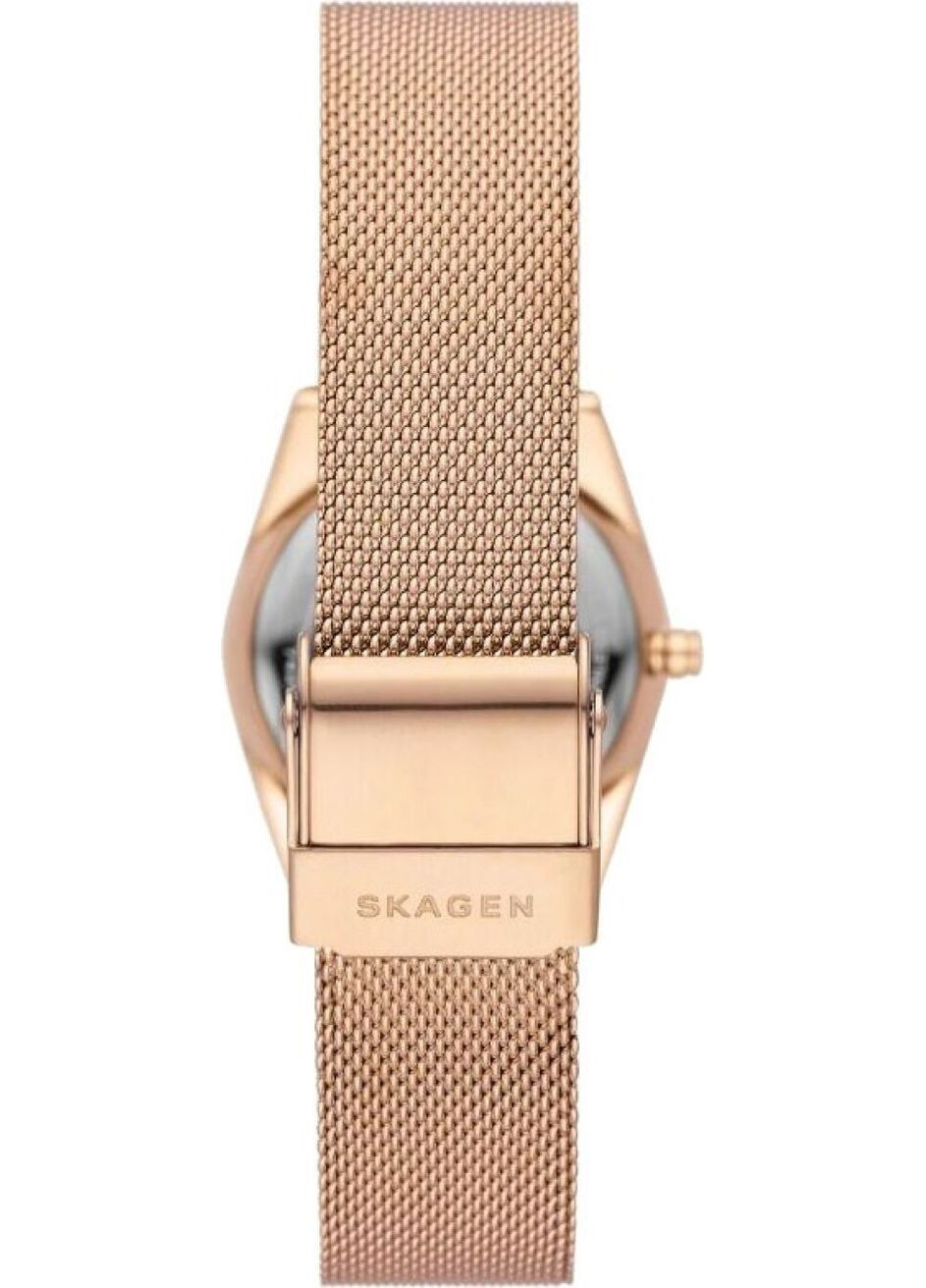 Женские наручные часы SKW3078 Skagen (330821766)