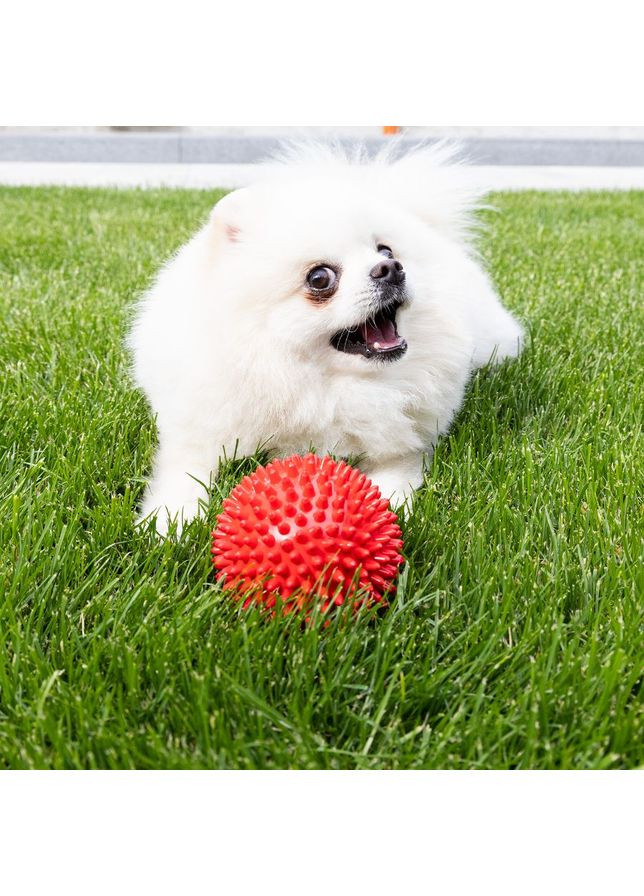 Іграшка для собак та котиків, м'яч із шипами (гольчастий м'ячик для котів, кішок) ПВХ 7,5 см (R-00010) OSPORT (370709342)