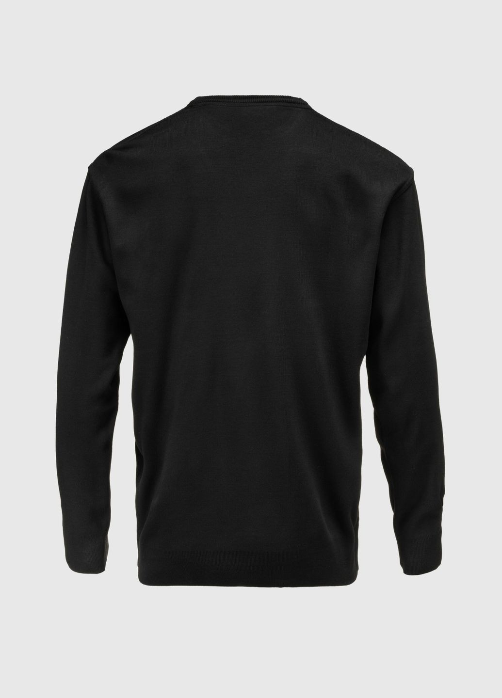 Чорний демісезонний джемпер однотонний чоловічий 1123 (2000990010063d) shop (2000990010063) Akin Trico