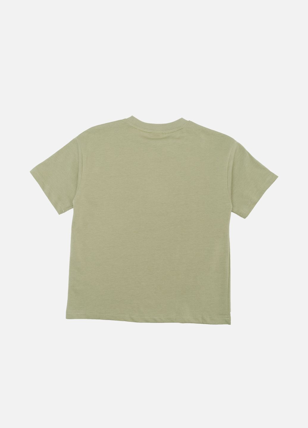 Оливковая летняя футболка с коротким рукавом для мальчика цвет оливковый цб-00243552 Lizi Kids