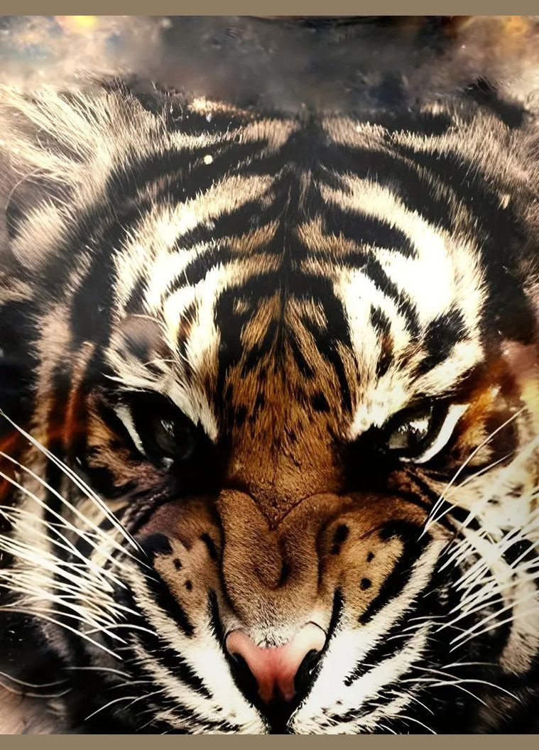 Комбінована чоловіча термо дихаюча літня футболка з 3d принтом злий тигр s 48 luxaurum165 No Brand