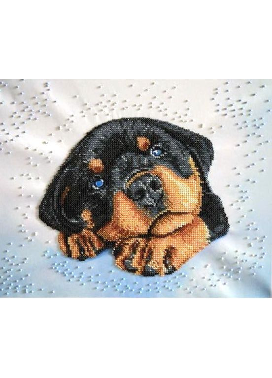 НАБІР ARHIBIS ТА-226 Цуценя ротвейлера Дейзі, набір для вишивання бісером картини Tela Artis (369666199)