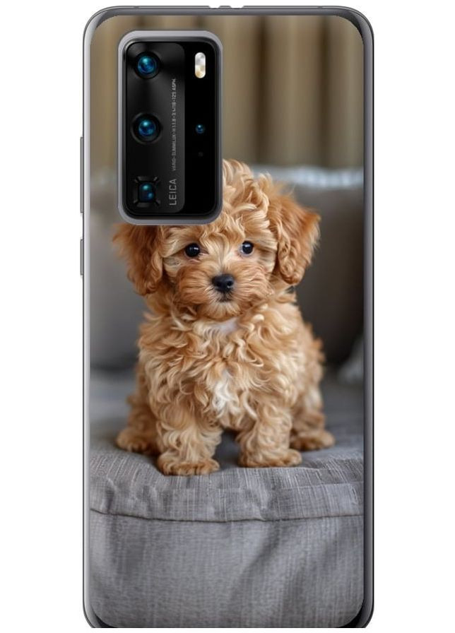 2D пластиковий чохол 'Mini-maltipoo' для Endorphone Huawei P40 Pro (297866523)