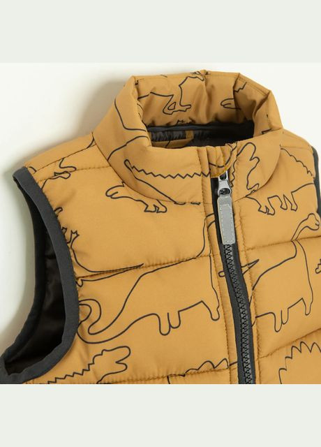 Жилет демісезонний Cool Club (302396027)