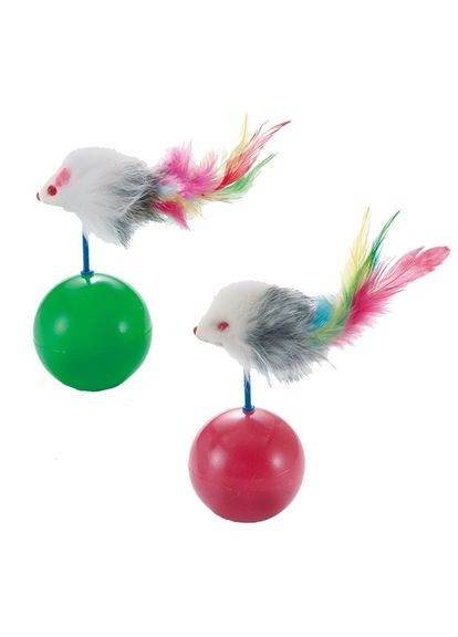 Басейн CattyMan (347067355)