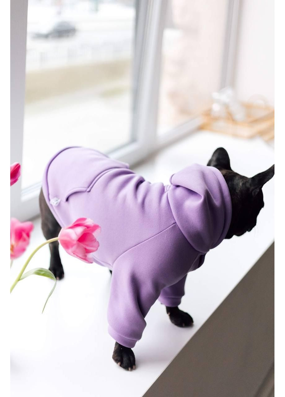 Худі для собак і кішок з капюшоном Dogs Bomba (362571825)