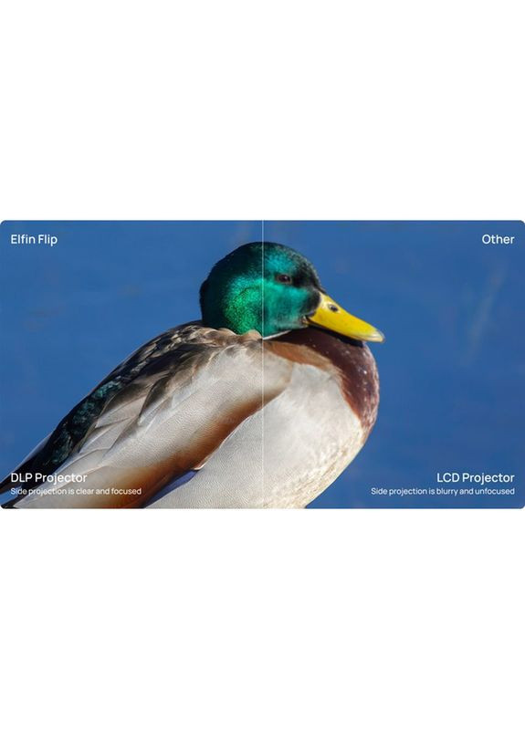 Проектор Elfin Flip (WK03C) XGIMI (323096016)
