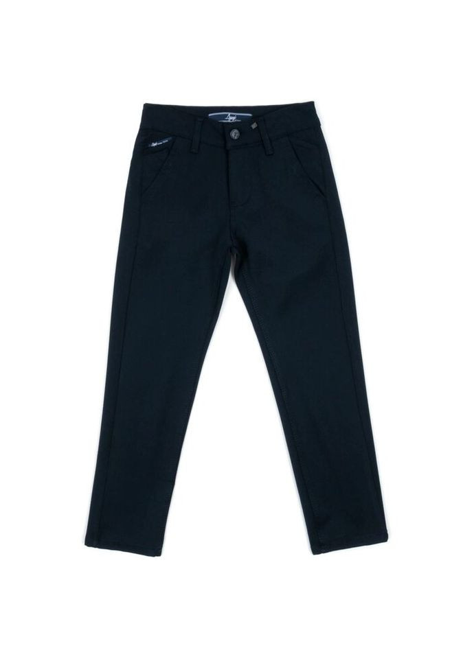 Темно-синие демисезонные брюки A-yugi