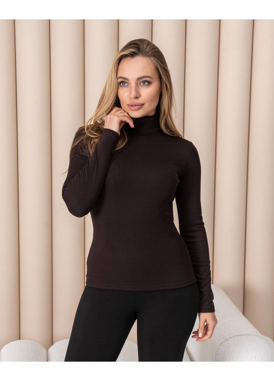 Жіноча тепла водолазка-гольф напівшерсть на термофлісі розмір DM09.09 No Brand (365654794)