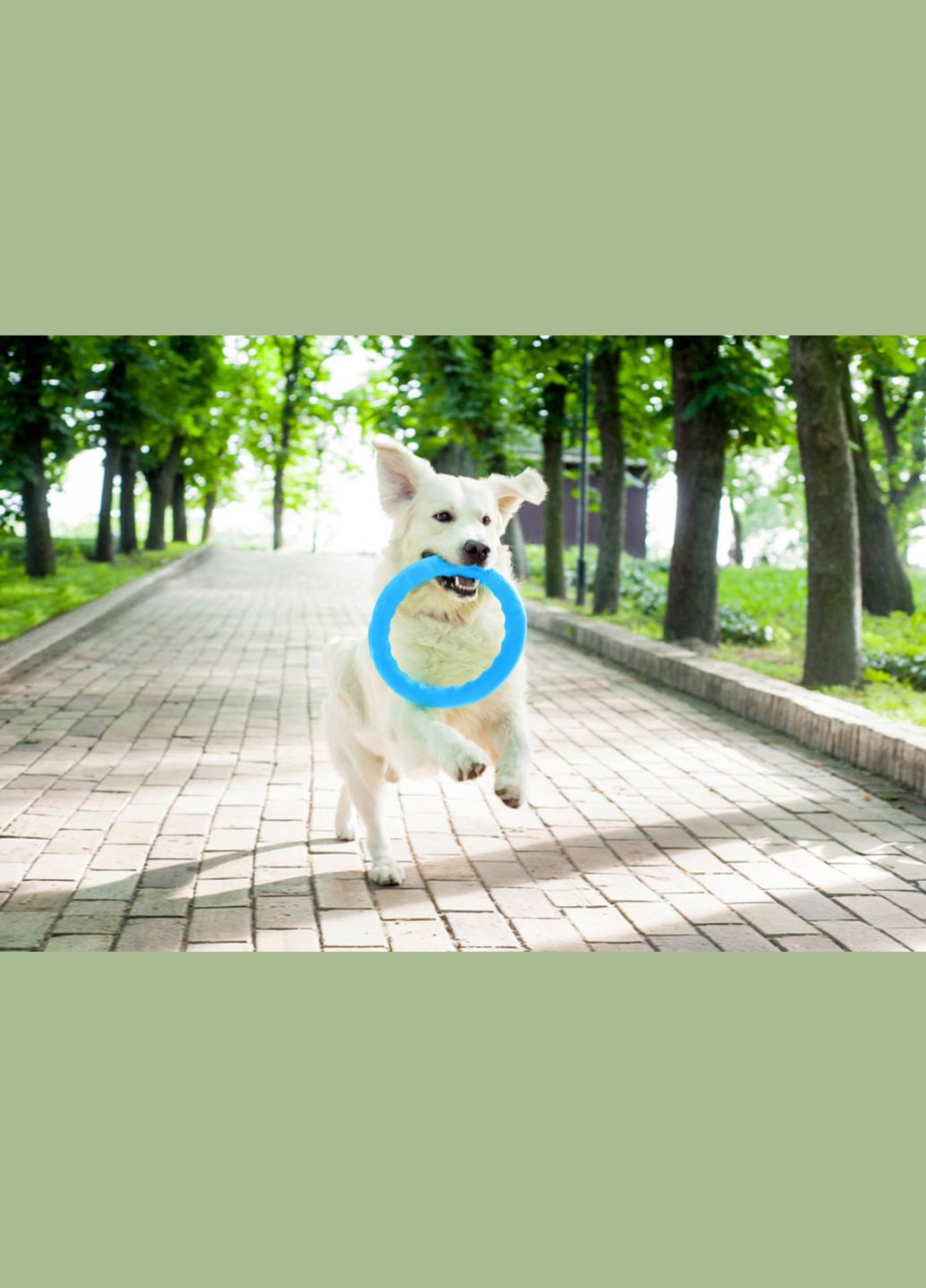 Кольцо для апортировки 20 д-20 см. PitchDog (329994156)