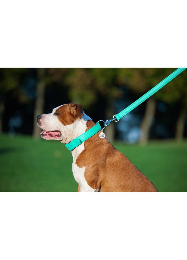 Повідець для собак WAUDOG шкіряний ментоловий 25мм 122см для великих собак міцний повідець ProDobro (373221327)