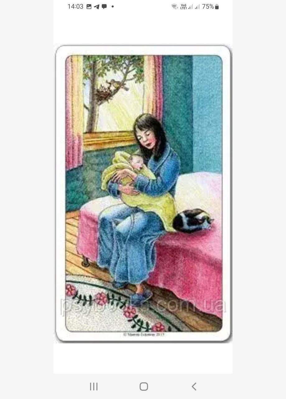 Метафоричні карти Суспільності (Inner Active Cards) No Brand (308987566)