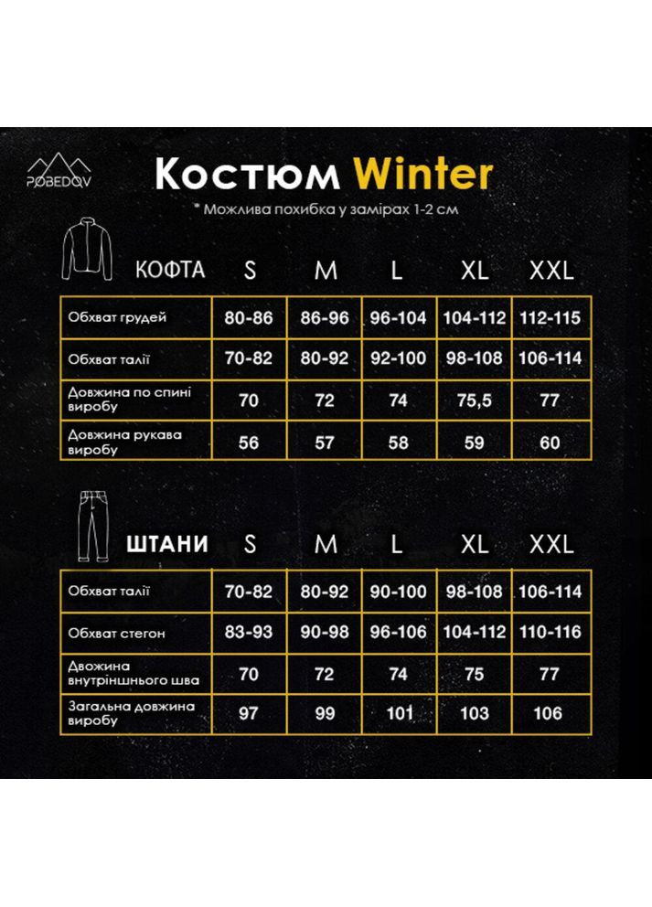 Мужской зимний спортивный костюм флисовый серый Freedom (366449501)