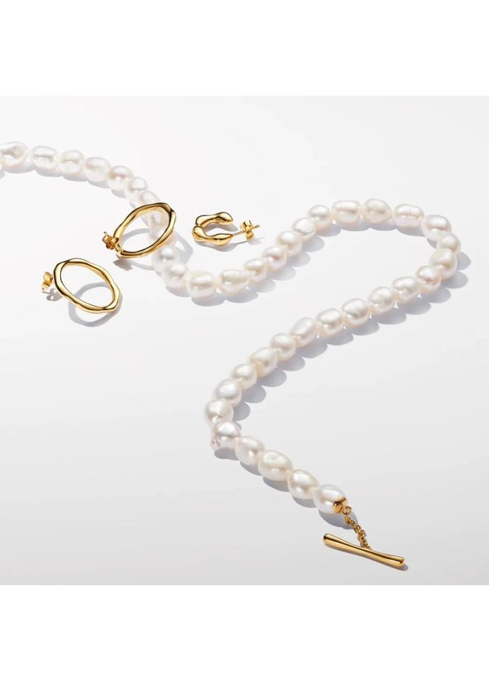 Сережки кульчики Пандора "Природне коло" 263265C00 Kabluchka (355344196)