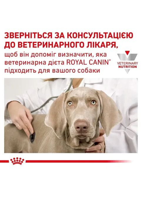 Вологий корм для дорослих собак GASTROINTESTINAL DOG 400 г Royal Canin (364357175)