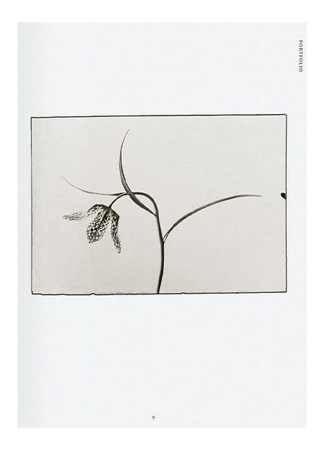 Книга Karl Blossfeldt. The Complete Published Work. 45th Ed. (9783836598514) Taschen (364654369)