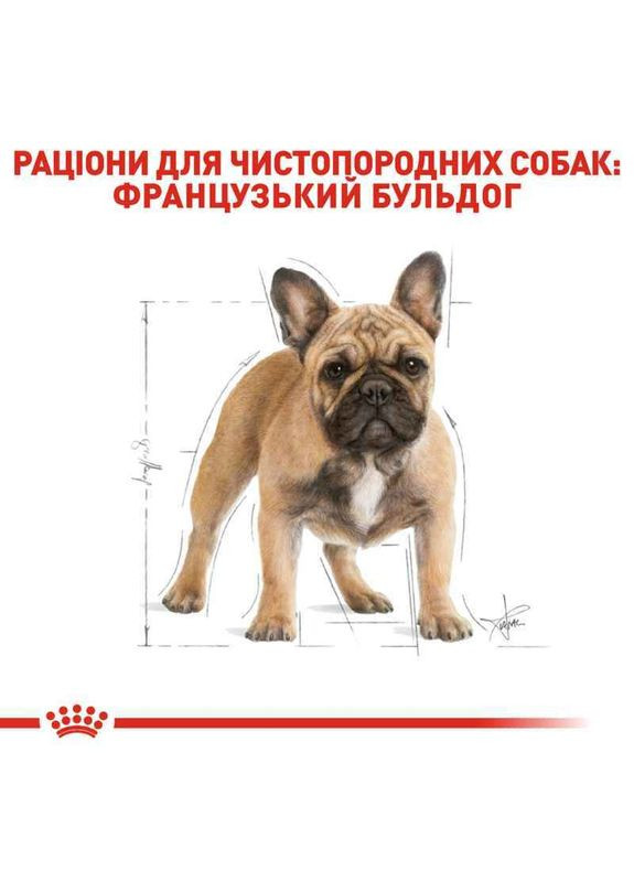 Сухой корм French Bulldog Adult для взрослых собак породы Французский бульдог 3 кг Royal Canin (290186988)