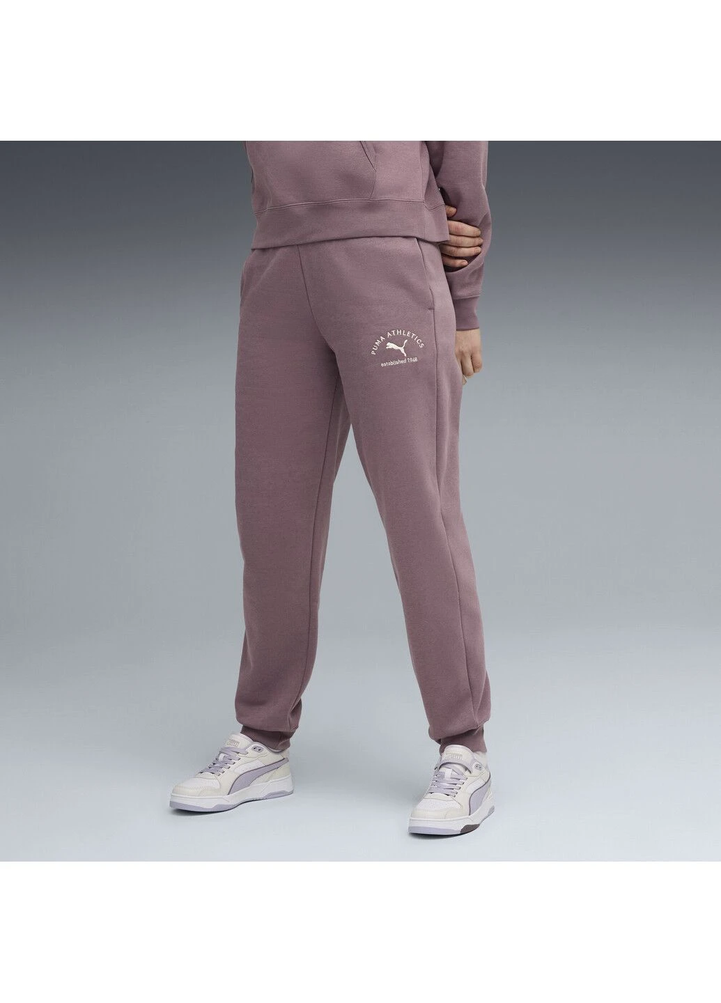 Штани Class Comfort Sweatpants Women Puma (364863183)