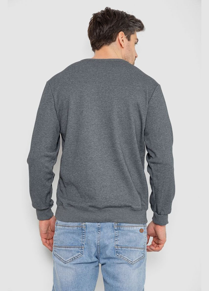 Серый свитшот мужской утепленный,, Ager (317453272)