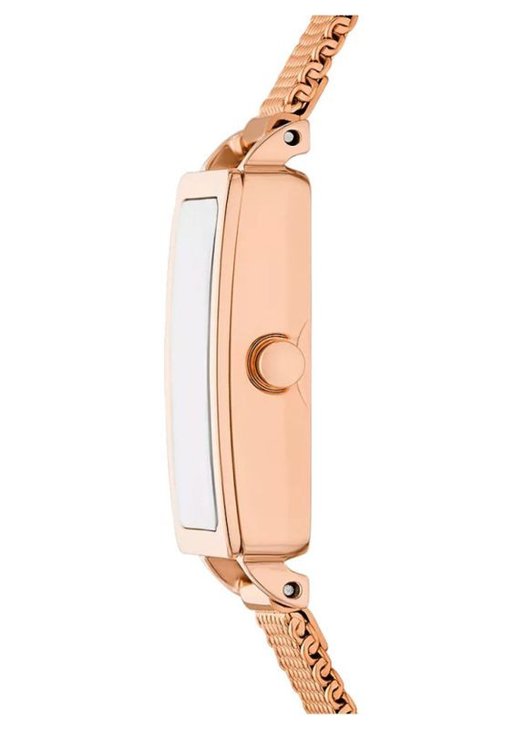 Женские наручные часы Skagen SKW3148 (321941104)