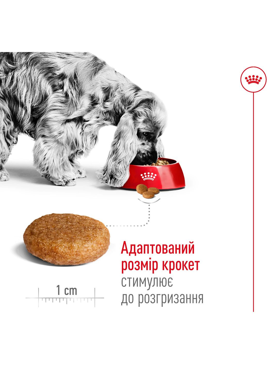 Сухий корм MEDIUM ADULT для дорослих собак середніх порід 3.2 кг + 800 г у подарунок Royal Canin (368822079)