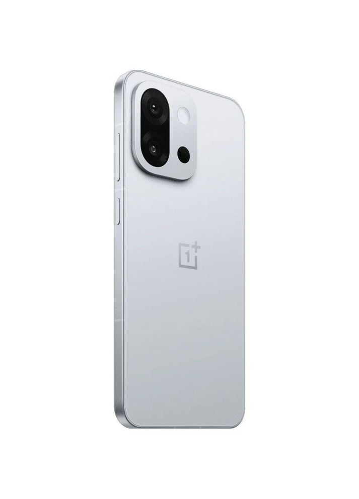 Смартфон 13T 12/256Gb Gray NFC Color OS CN OnePlus (366831345)