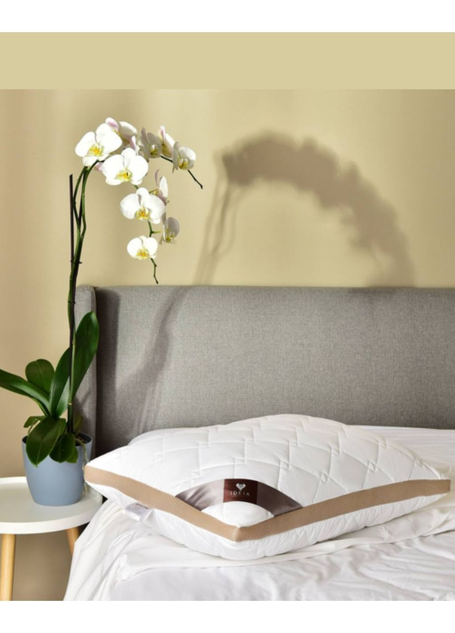 Подушка 50х70 см IDEIA Present (369967342)