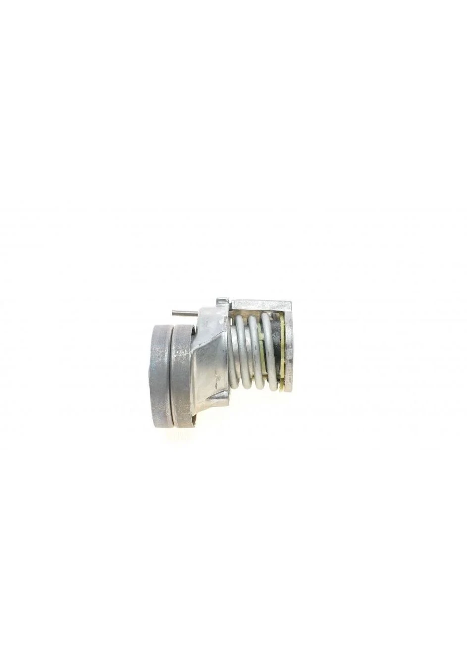 Натягувач ременя AUDI, SEAT, SKODA, WV (Вир-во ) 534 0065 10 Ina (378825417)
