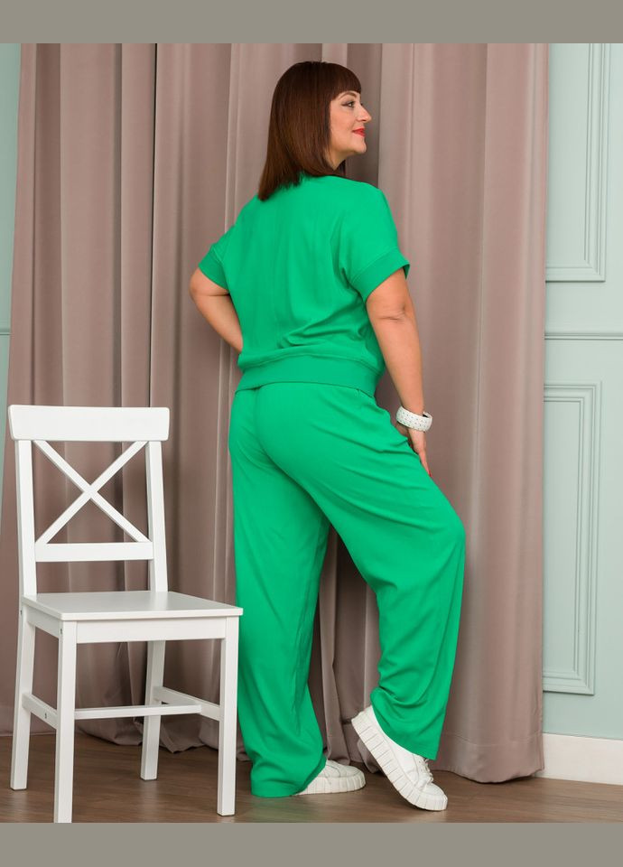 Костюм-двойка 13155-2 Alenka Plus (355341122)