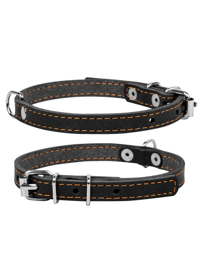 Нашийник одинарний 10мм/22-30см Чорний Collar (322328475)