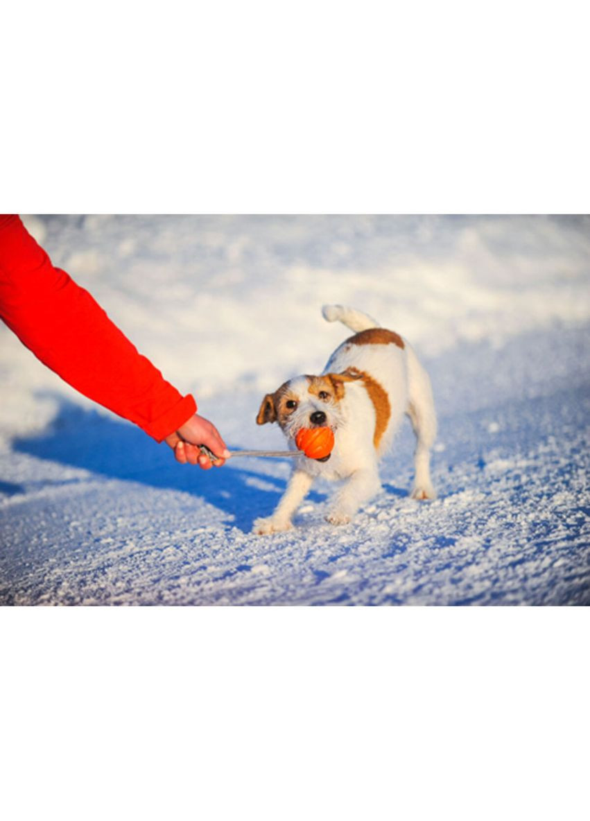 М'ячик Лайкер 9 Корд на шнурі, діаметр 9 см, помаранчевий Collar (317255538)