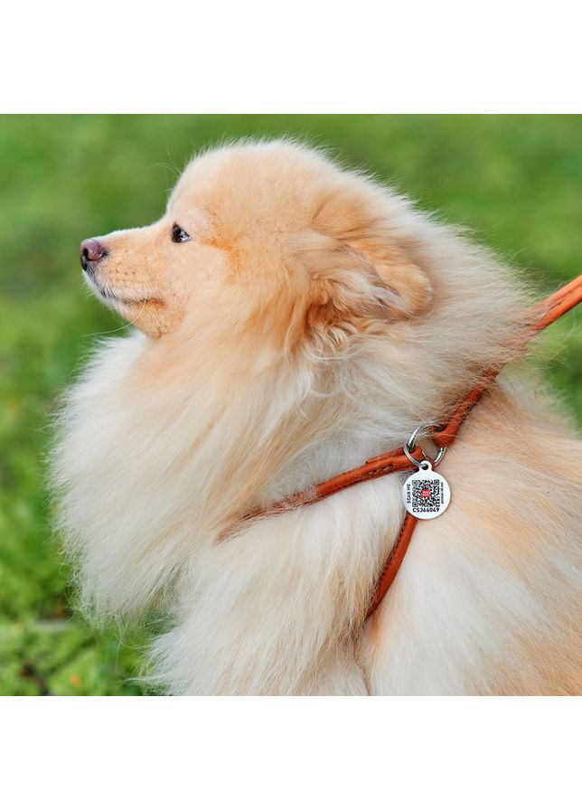 Шлея с поводком для собак кожаная Soft c QR паспортом, круглая, Д 6 мм, А 26-46 см, В 30-50 см WAUDOG (364100298)